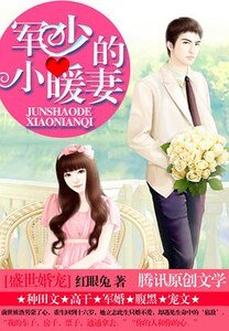 盛世婚寵:軍少的小暖妻/ 盛世婚寵:悍少的小暖妻