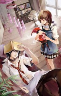 穿越天龙八部之风流虚雨